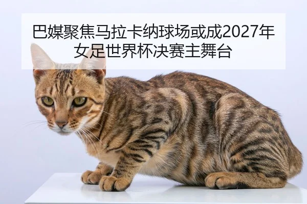 巴媒聚焦马拉卡纳球场或成2027年女足世界杯决赛主舞台 | aiyouxi