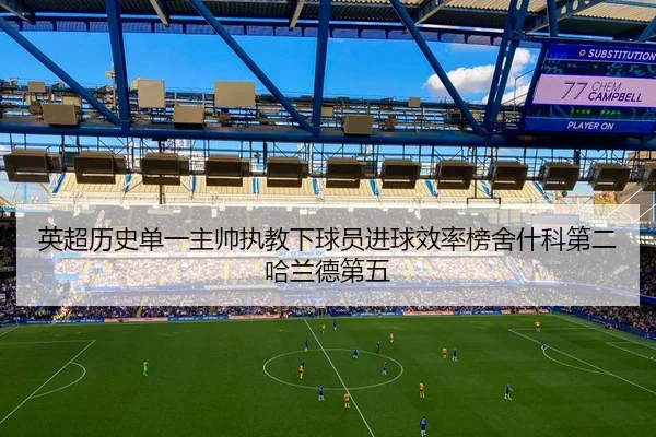 英超历史单一主帅执教下球员进球效率榜舍什科第二哈兰德第五 | aiyouxi